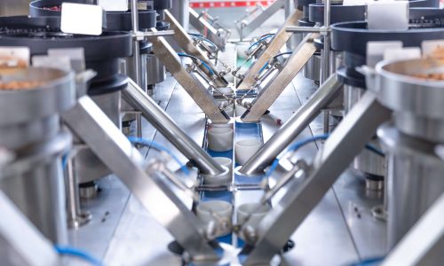 Chacha nuts counting packaging machine